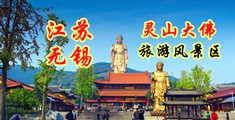 美女肉穴视频江苏无锡灵山大佛旅游风景区