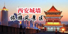 又粗又细的1000部禁片中国陕西-西安城墙旅游风景区